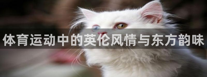 yy易游官网下载招商电话地址是多少:体育运动中的英伦风情与东