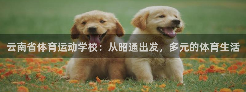 yy易游官方正版app集团E.ON:云南省体育运动学校:从昭