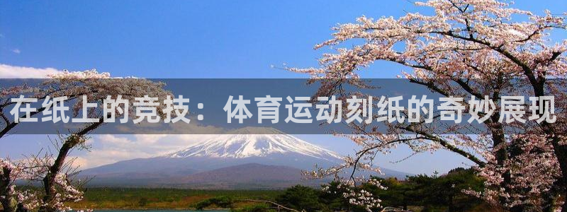 德国yy易游官方正版app集团:在纸上的竞技:体育运动刻纸的