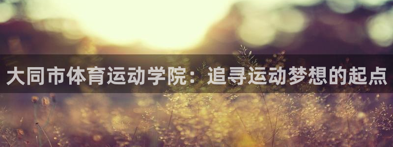 yy易游官方正版app集团官网首页:大同市体育运动学院:追寻